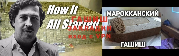индика Алзамай