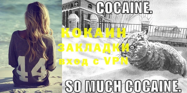 индика Алзамай