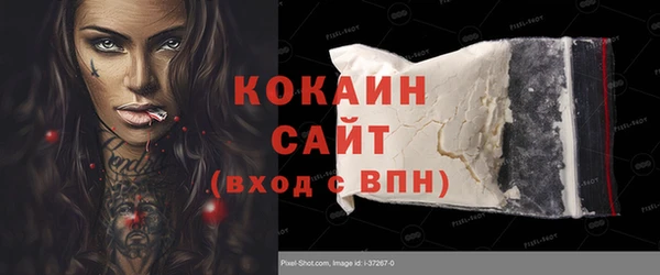 индика Алзамай