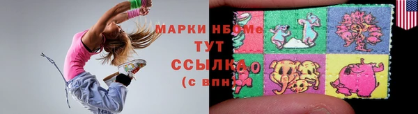 индика Алзамай
