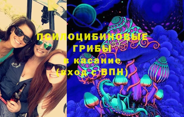 индика Алзамай