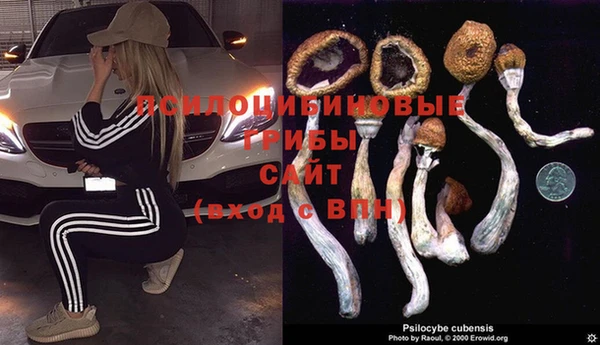индика Алзамай