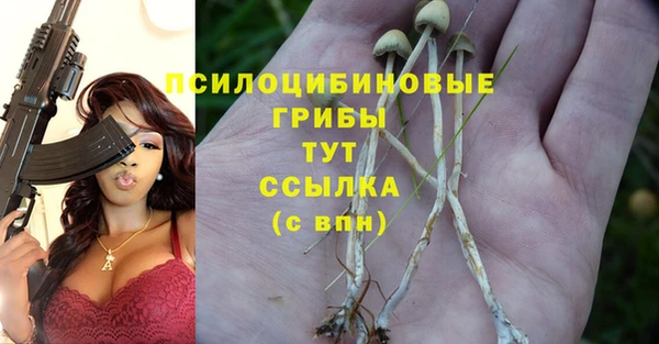 таблы Алексин