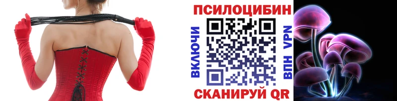 Псилоцибиновые грибы Psilocybine cubensis  omg ONION  Железногорск-Илимский  купить наркоту 